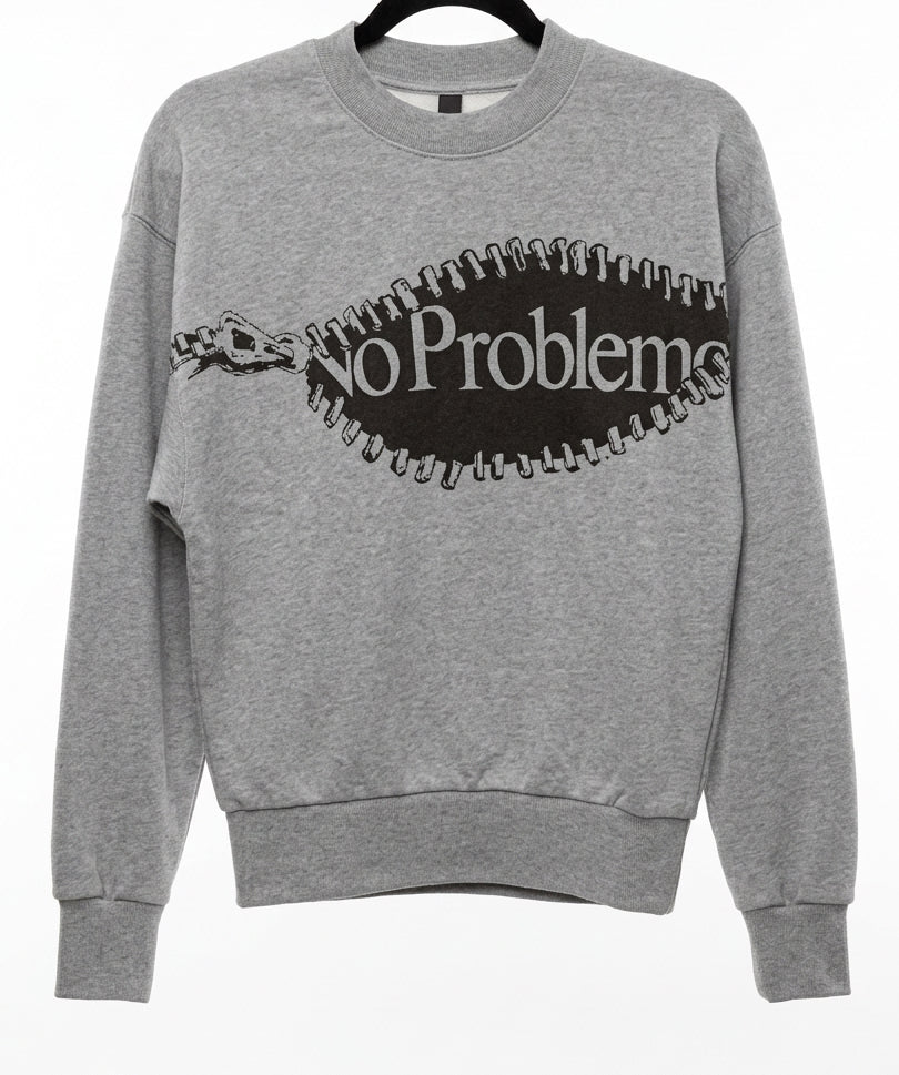 Front view — No Problemo Grey Crew Neck Sweatshirt – S.